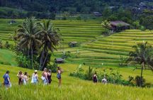 Jatiluwih Spiritual Journey of Water cleansing