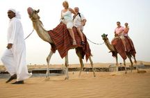 Thrilling Desert Safari With Dune Bashing And Camel Ride 