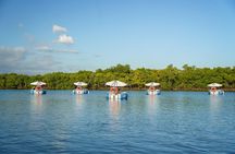 Self Drive BBQ E Boat Cruise with Onboard BBQ Denarau Fiji
