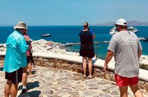 Mykonos Half-Day Highlights Tour: Beaches, Town & Culture