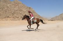 Horse riding in Sharm el sheikh desert