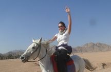 Horse riding in Sharm el sheikh desert