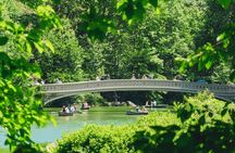 Central Park Pedicab Tour with Top of the Rock Access