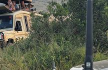 4 Days Masai Mara and Lake Nakuru Group Joining Safari