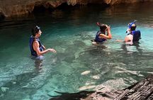 Private Tour to 4 Cenotes