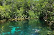 Cenotes Private Tour ( Two Eyes, Jaguar & Nicte-Ha )