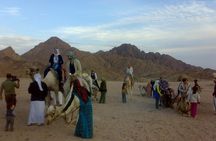 Camel ride in Sharm elsheikh desert