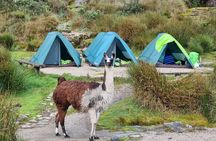Inca Trail to Machu Picchu in 4 Days