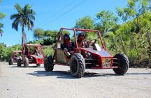 Combo: Adventure in Buggy and City Tours