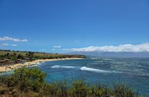 Half Day Private Road to Hana Tour with Pickup 