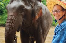 Ethical Elephant Visit and White Water Rafting in Chiang Mai