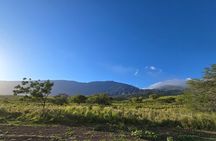 Private Road to Hana Tour with Pickup-Ultimate Package, Backside