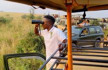 2 Days Murchison Falls, Chimps and Rhinos 