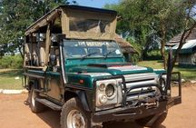 2 Days Murchison Falls, Chimps and Rhinos 