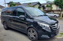 Rock Of Cashel And Blarney Castle Private Chauffeur Full Day Sightseeing Tour