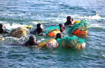 Jeju Tour | Jungmun & Seogwipo Pick-up | Seongsan, Haenyeo, Cave