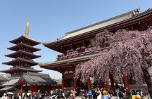 Tokyo Private Sightseeing Tour by Car with Local Guide