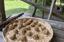 Smile Elephant Chiangmai (Half day Visit)