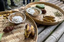 Smile Elephant Chiangmai (Half day Visit)