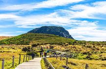 Jeju Island SouthWest UNESCO Day Tour