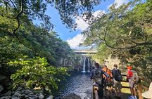 Jeju Island SouthWest UNESCO Day Tour