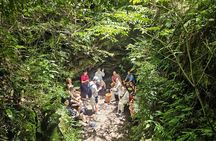 Jeju Island SouthWest UNESCO Day Tour