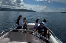 Azure Paradise Kotor Bay and Blue Cave Speedboat Tour
