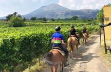Horseback Riding on Mt. Vesuvius with Wine Tasting and Dinner