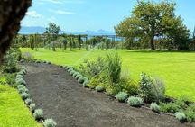 Pompeii Tour & Lunch with Wine Tasting Experience
