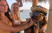 St Augustine Floating Tiki Boat Cruise with BYOB Option