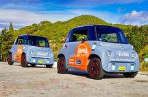 Food Tour in Montes de Málaga Natural Park by Electric Car