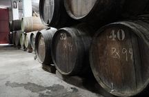 Montes de Málaga Gastronomic Tour by Electric Car