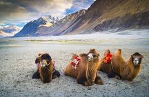 Private Day Trip - Leh to Nubra Valley via Khardung La Pass