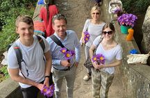 Sigiriya and Dambulla Day Tour from Colombo
