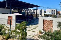 Colors of Ensenada Painting and Wine