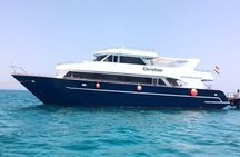 Hamata and Qulaan Islands Boat Tour 3 stops Snorkeling And Lunch