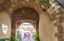 Explore Aptera and Chania Semi Private Cultural Tour