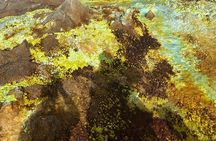 5-Day Journey Through Ethiopia’s Extremes: Danakil & Omo Valleys 