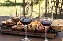 Cape Winelands and Cheetah Encounter Full Day Tour