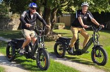 4 Hour eTrike Pedal and Picnic Meadows Tour 
