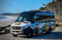 Christchurch to Tekapo Small-Group Tour (one-way)