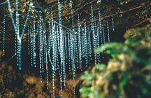 *Popular Tour* - Bay of Islands: Nature Adventure - 4hrs