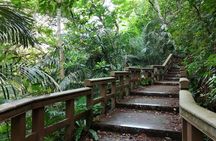 Ishigaki Island Shore Excursion, Trails and Scenic Spots