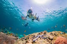 Half day Tropical Coral Island Snorkeling Tour from Phuket