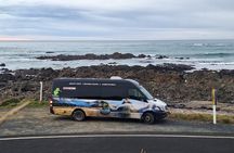 5 Day 4 Night New Zealand’s South Southern Highlights Tour