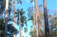 Botanical Garden of Rio de Janeiro