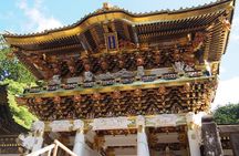 From Tokyo: Nikko Toshogu Shrine, Kegon Falls,Lake Chuzenji Tour