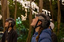 Brisbane Segway Sightseeing Tour