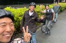4 hours of E-Bike tour With a Local Japanese in Kyoto city