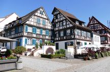 From Strasbourg: Black Forest Day Trip